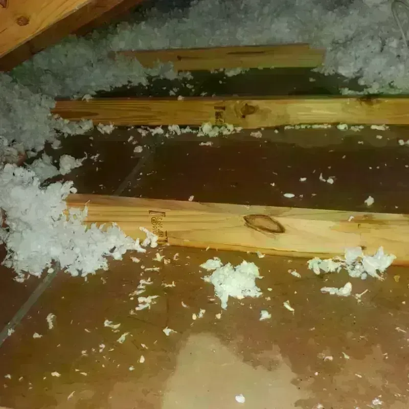 Attic Water Damage in Strasburg, VA